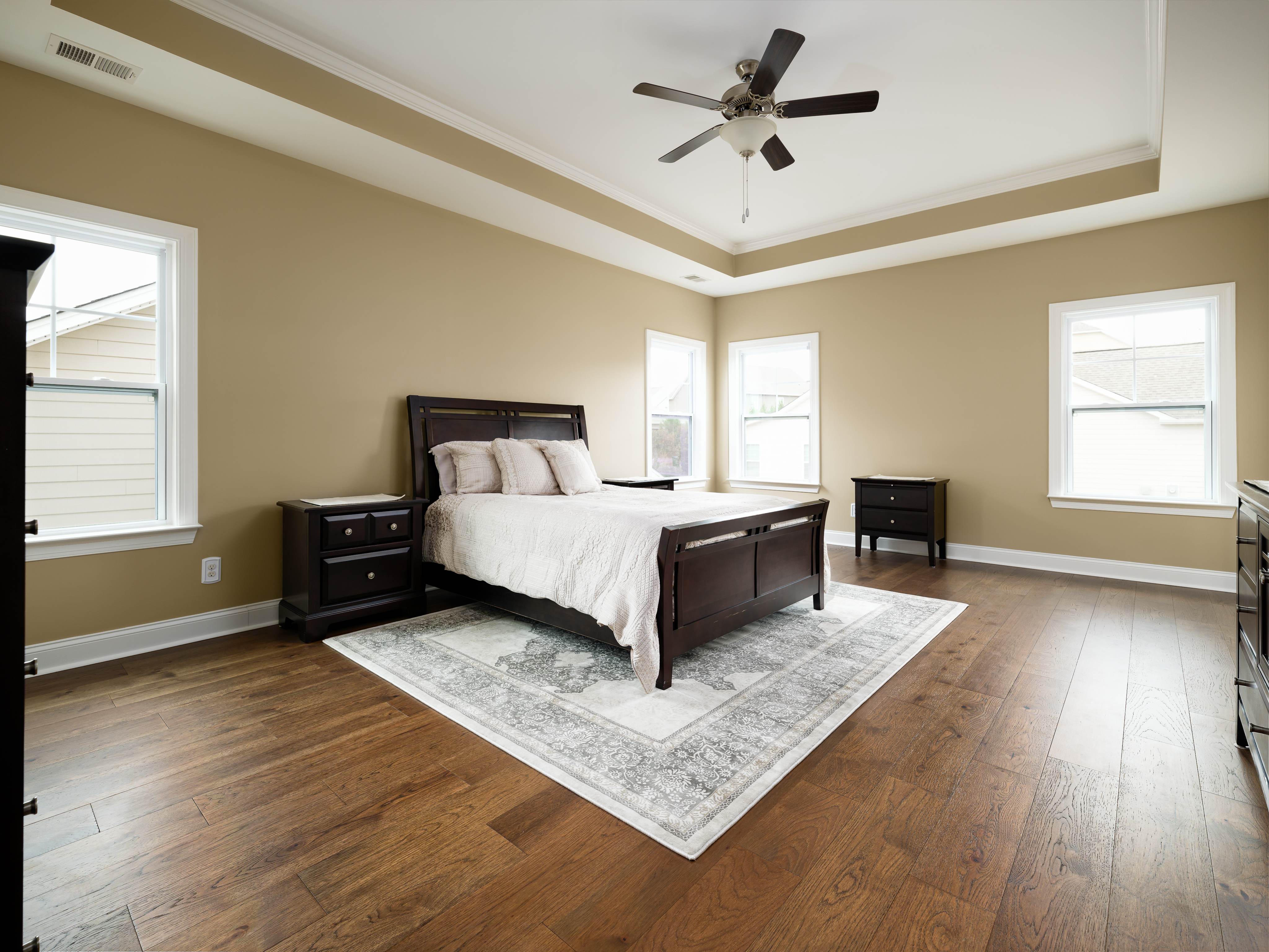 Master Bedroom with Tray Ceiling